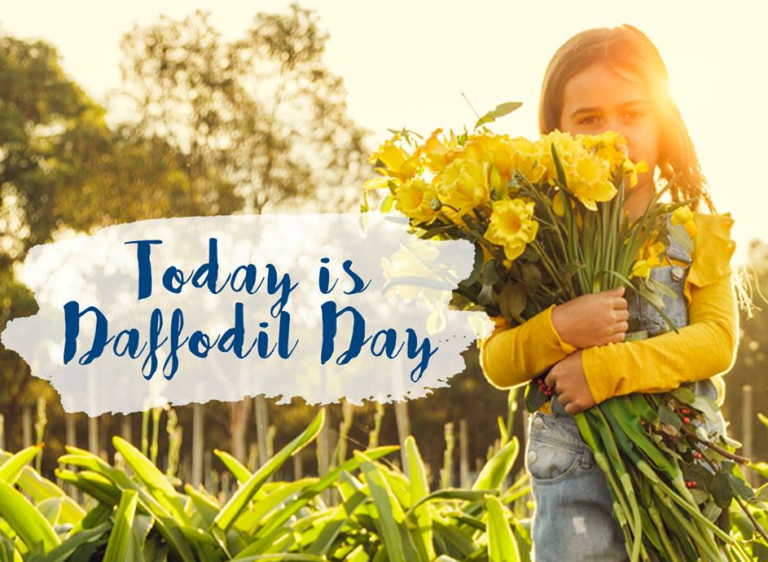 Today is Daffodil Day Greenmeadows Medical Centre Port Macquarie