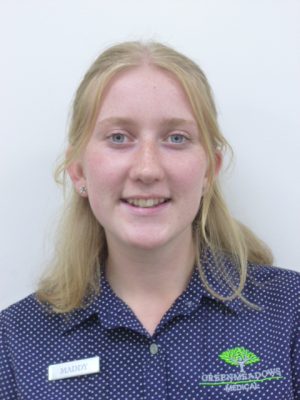 Welcome Maddy – Greenmeadows Medical Centre Port Macquarie