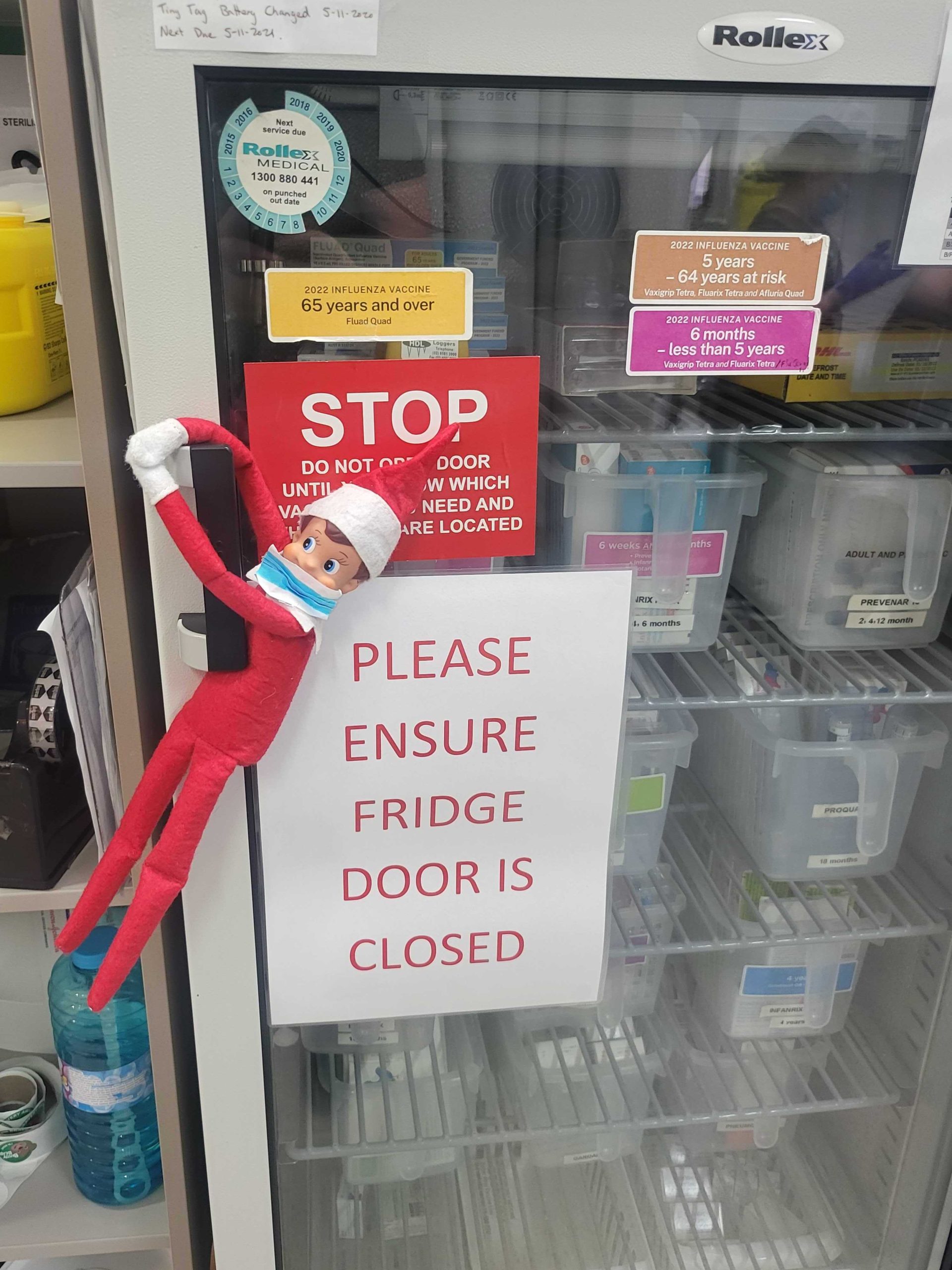 “Elfis” needs an injection. Greenmeadows Medical Centre Port Macquarie